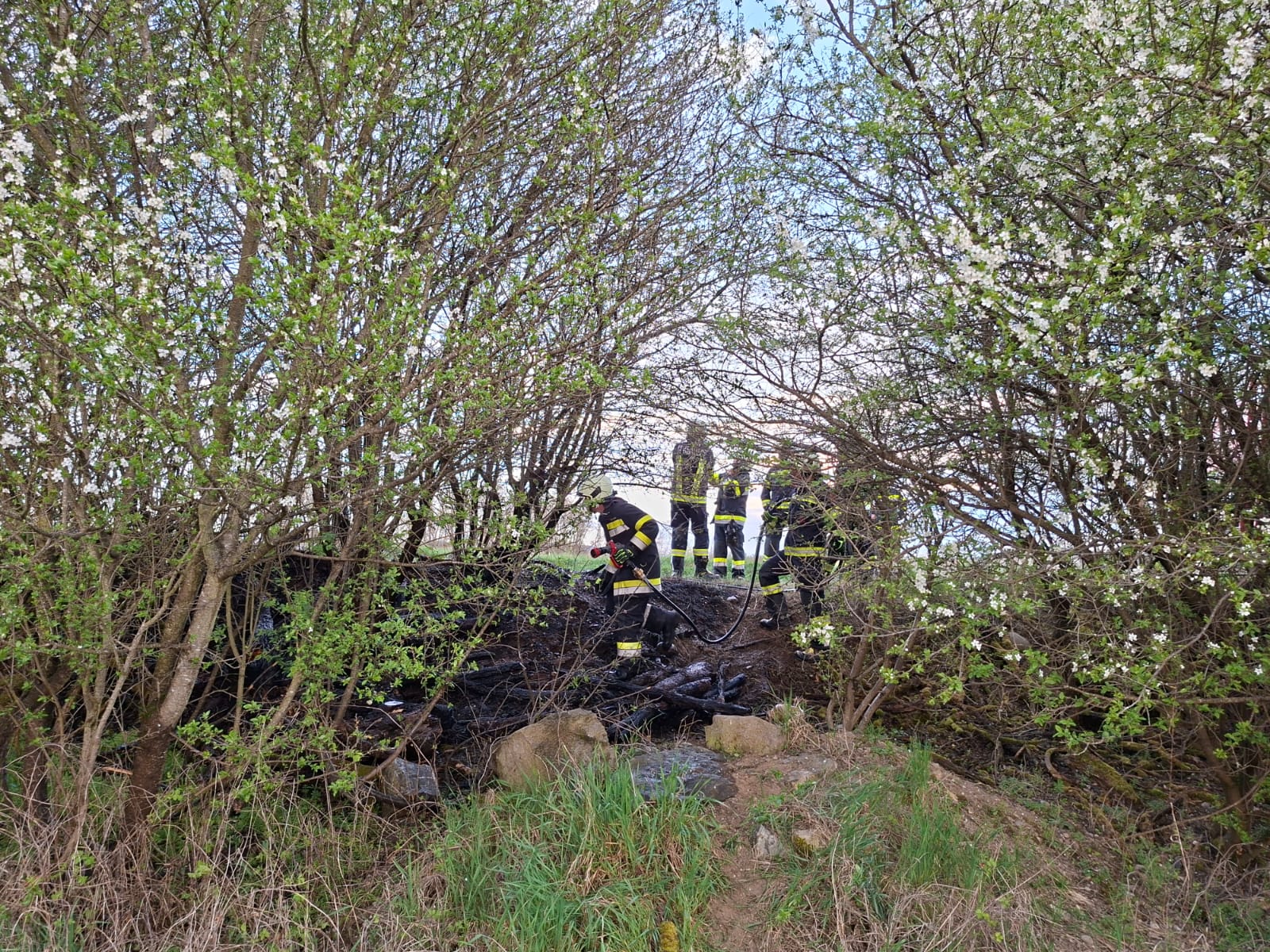 Einsatz-2-9