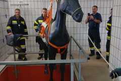 WhatsApp-Bild-2025-03-12-um-15.39.32_645d40b6