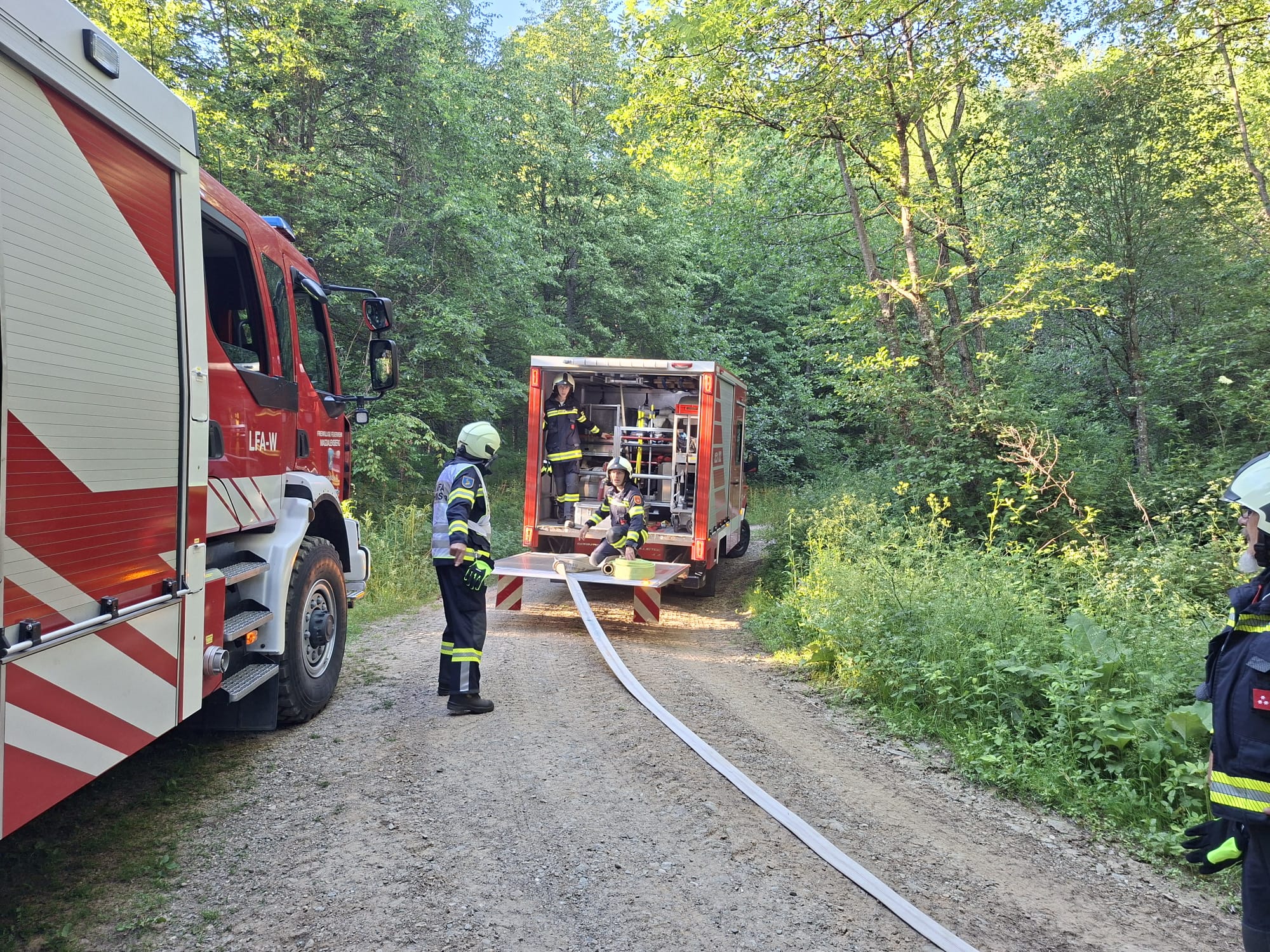 uebung_waldbrand-19