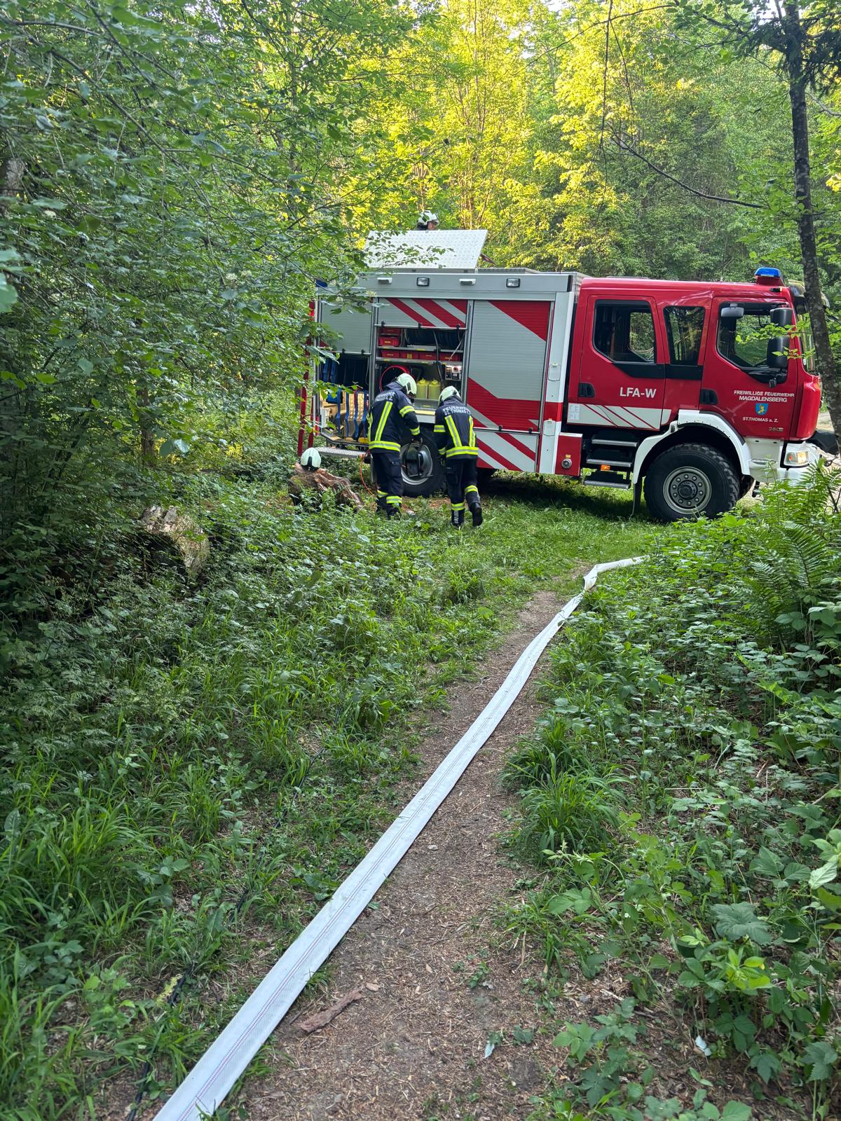 uebung_waldbrand-27