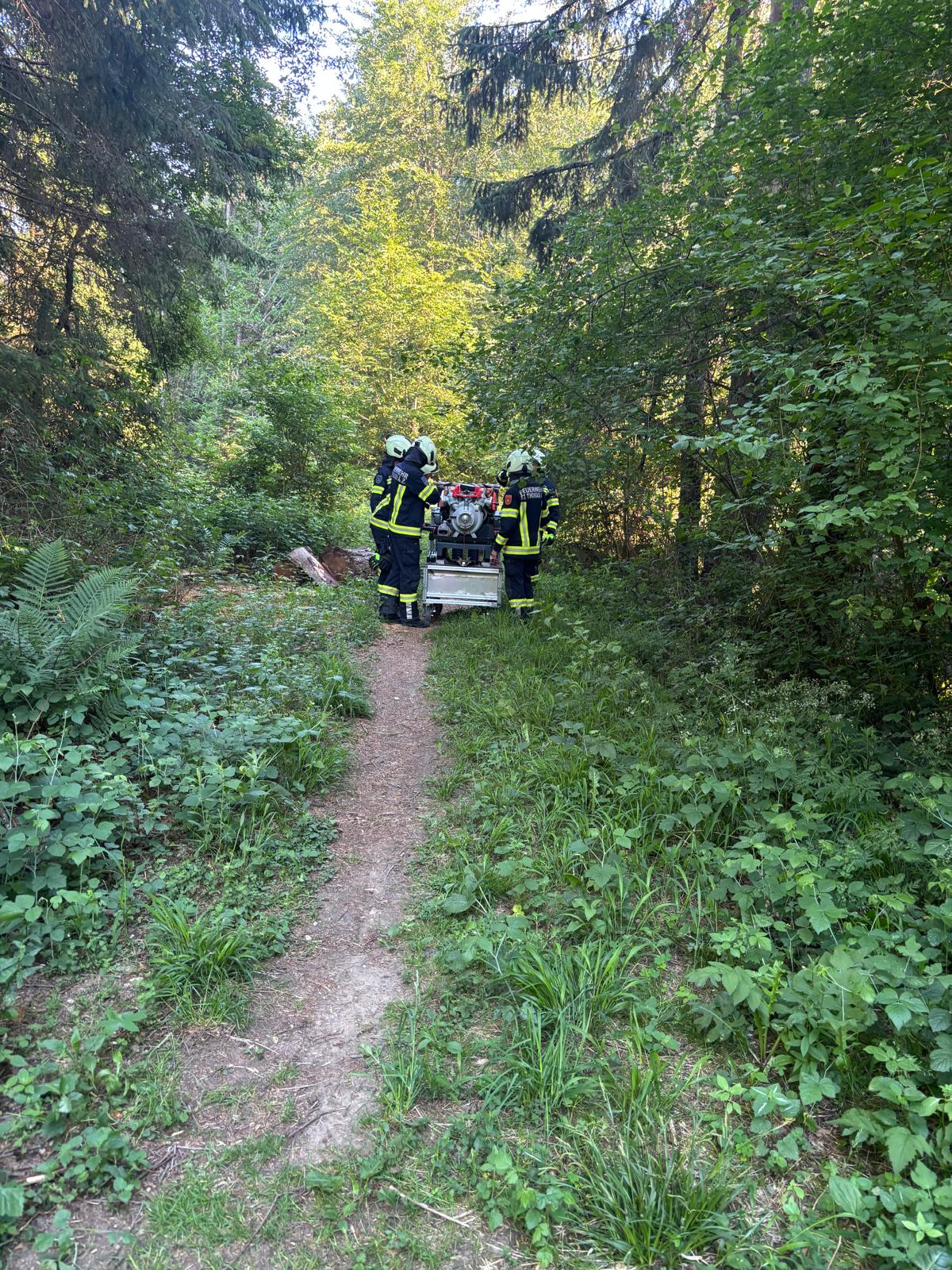 uebung_waldbrand-9