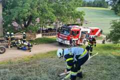 WhatsApp-Bild-2025-06-06-um-06.04.56_d3f672b3