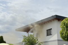 IMG_6501