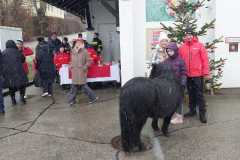 Friedenslicht-2025-24