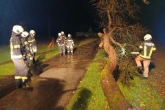 WhatsApp-Bild-2025-10-26-um-09.45.37_071aba61 WhatsApp-Bild-2025-10-26-um-09.45.37_071aba61