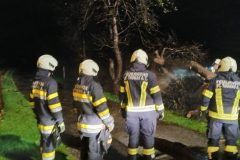 WhatsApp-Bild-2025-10-26-um-09.45.41_6b2bd017 WhatsApp-Bild-2025-10-26-um-09.45.41_6b2bd017