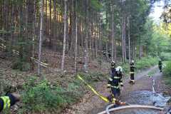 uebung_waldbrand-12