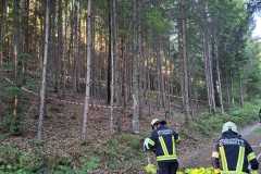 uebung_waldbrand-13