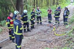 uebung_waldbrand-3