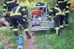 uebung_waldbrand-6