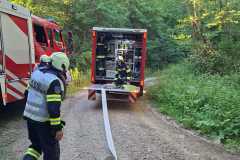 uebung_waldbrand-8