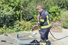IMG-20260803-WA0021