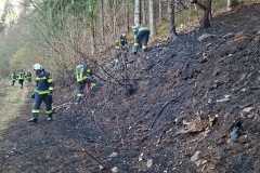 WhatsApp-Image-2026-03-10-at-17.47.50ghkdfh