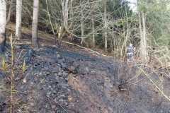 WhatsApp-Image-2026-03-10-at-18.52.26dfh