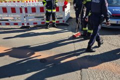 WhatsApp-Image-2026-02-28-at-18.44.59