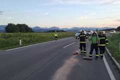 IMG-20260829-WA0021