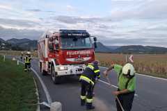 IMG-20260829-WA0023