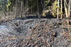 WhatsApp-Image-2026-03-10-at-16.22.03