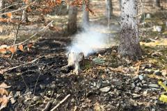 WhatsApp-Image-2026-03-10-at-16.22.03fb