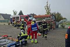 IMG-20261003-WA0019